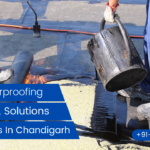Best Waterproofing Services & Solution Contractors In Chandigarh