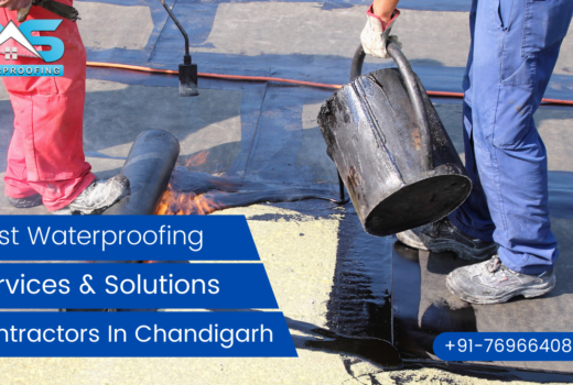 Best Waterproofing Services & Solution Contractors In Chandigarh