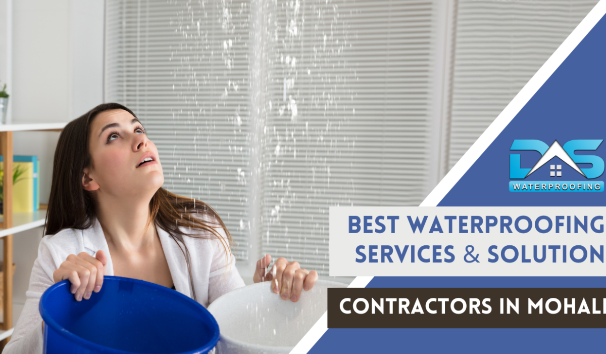 Best Waterproofing Services & Solution Contractors In Mohali