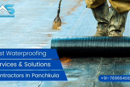 Best Waterproofing Services & Solution Contractors In Panchkula (1)